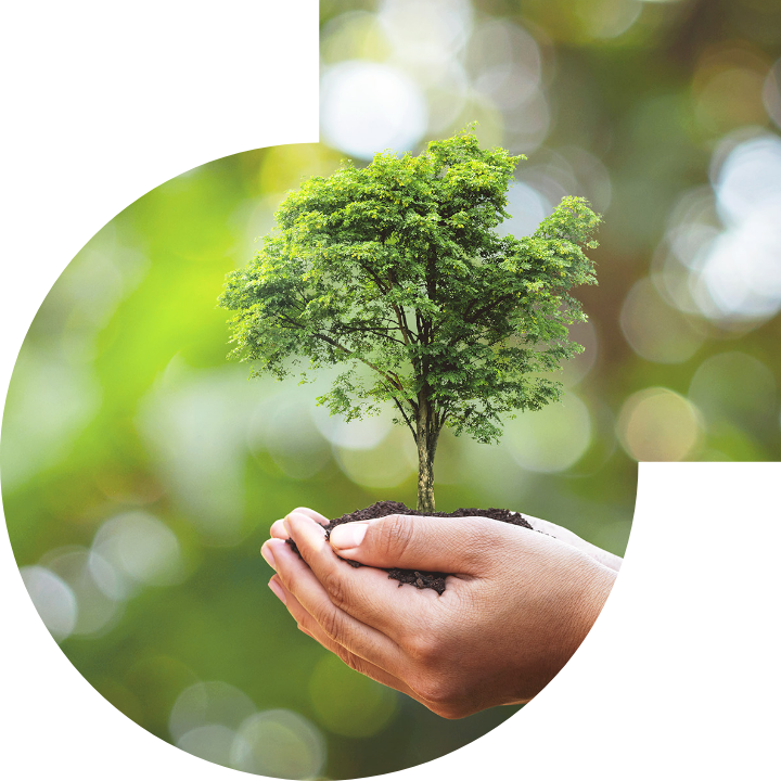 關懷人類、文化、環境與社會